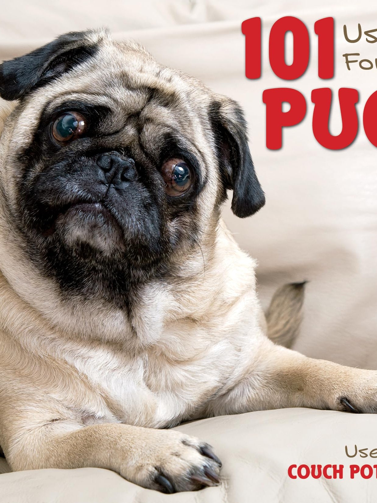 Cover of 101 Uses For A Pug by Willow Creek Press (Author)