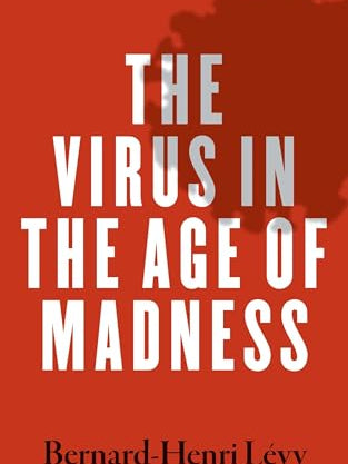 Cover of The Virus in the Age of Madness