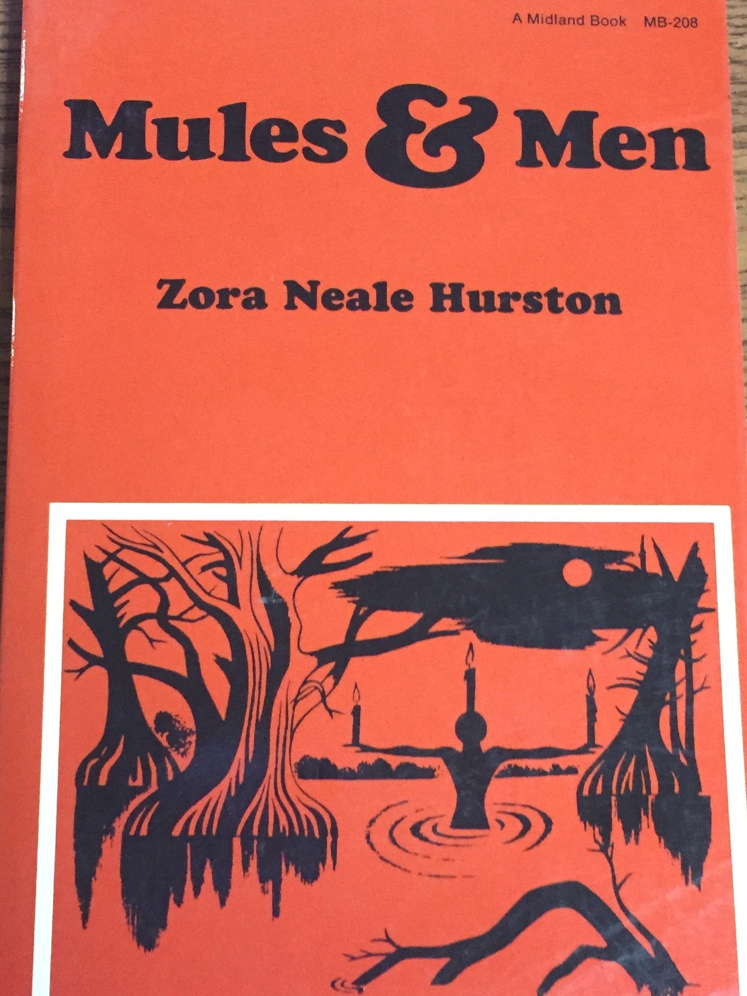 Cover of Mules and Men
